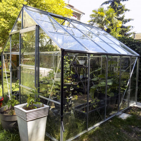 Gewächshaus aus Aluminium und Glas Farbe Aluminium Carvi 8,10 m²